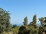 1-7980e48d732b6fc85c14b43b94d2aa54.jpg